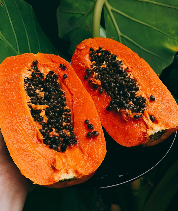 papaya