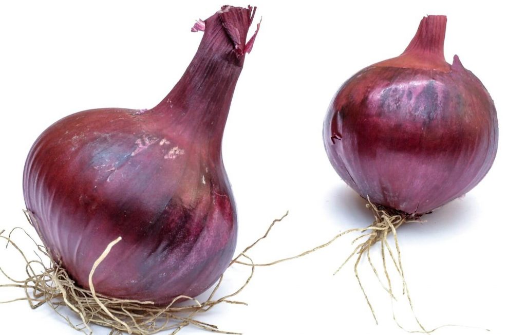 onion for hair growth
