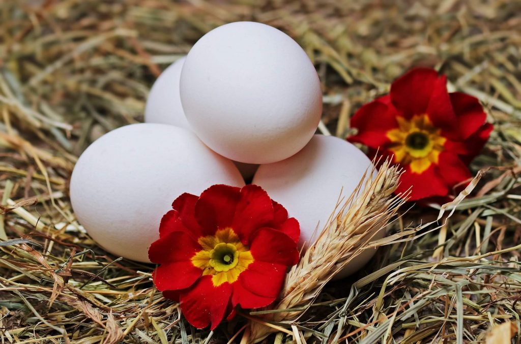 egg for hair