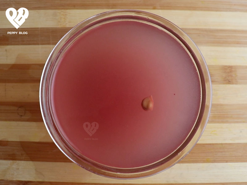 rice water rinse recipe