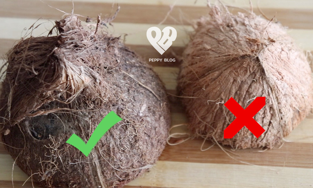 mature coconut