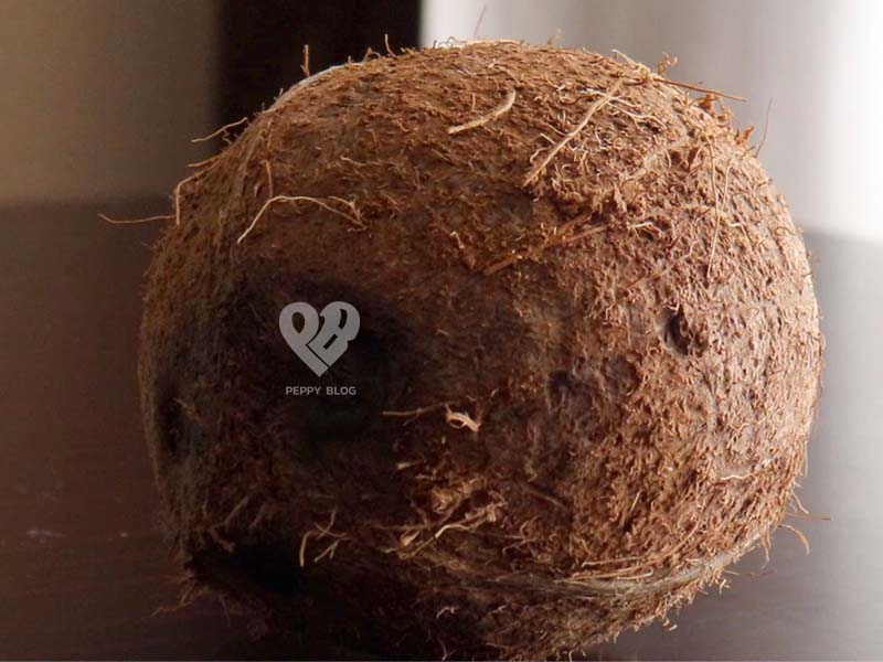 Mature coconut