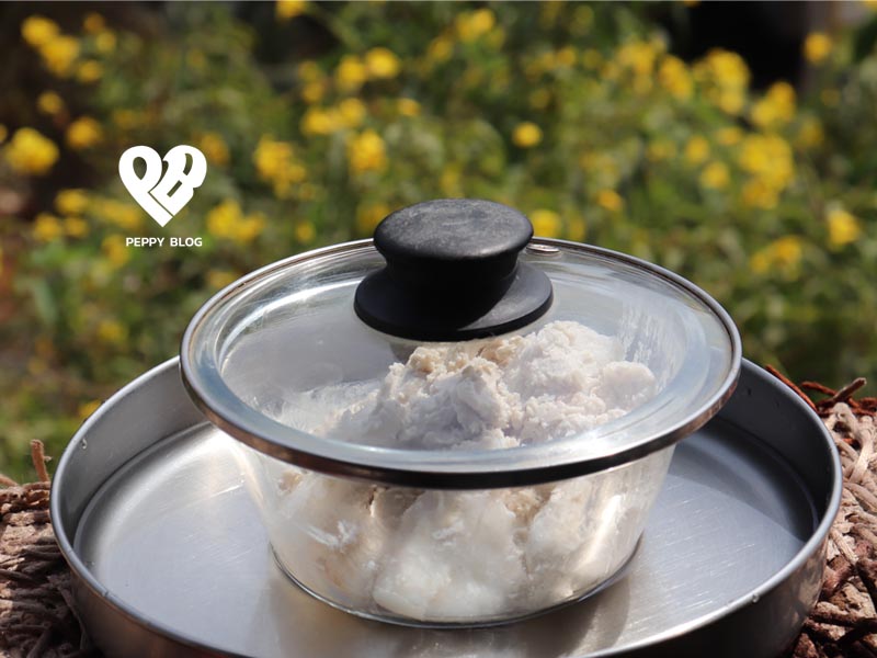 Ferment coconut cream to make coconut oil