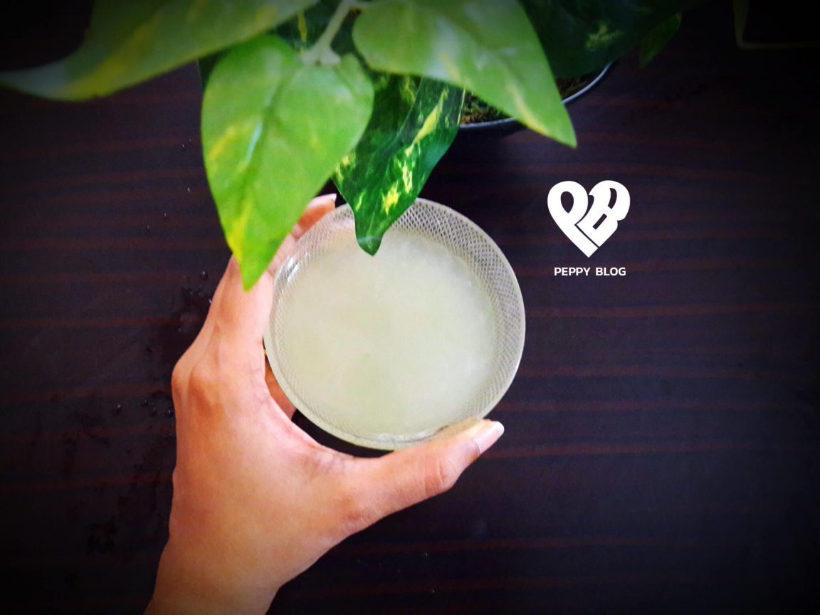 Aloe Vera Gel at Home