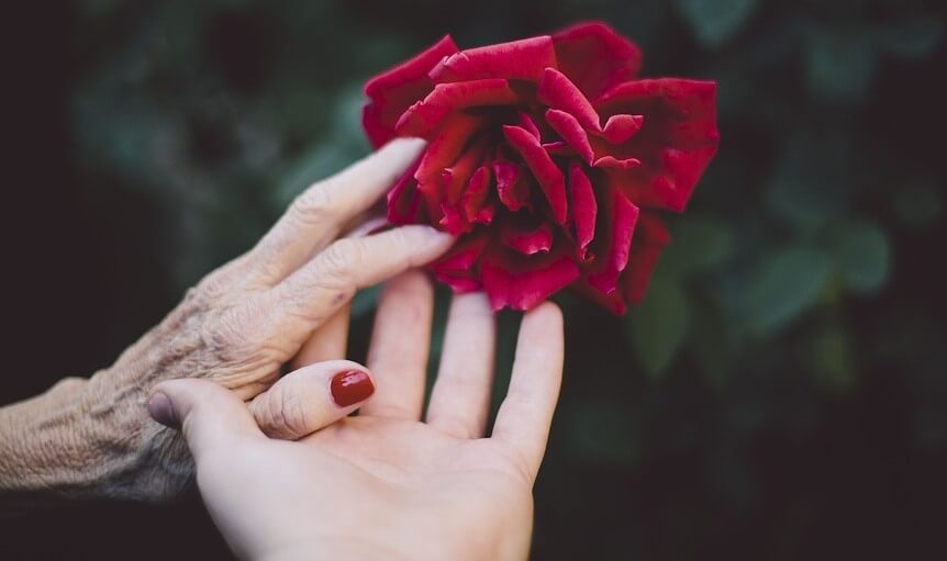 hands