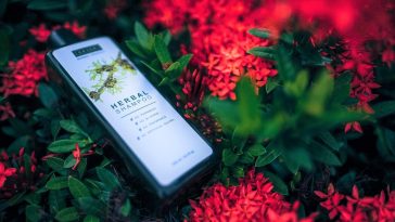 best shampoo for dry hair