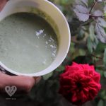 tulsi face pack for pigmentation