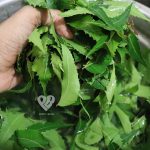 Neem leaves