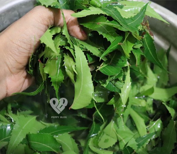 Antiinflammatory Turmeric Balls Recipe Neem & Turmeric Balls Peppy