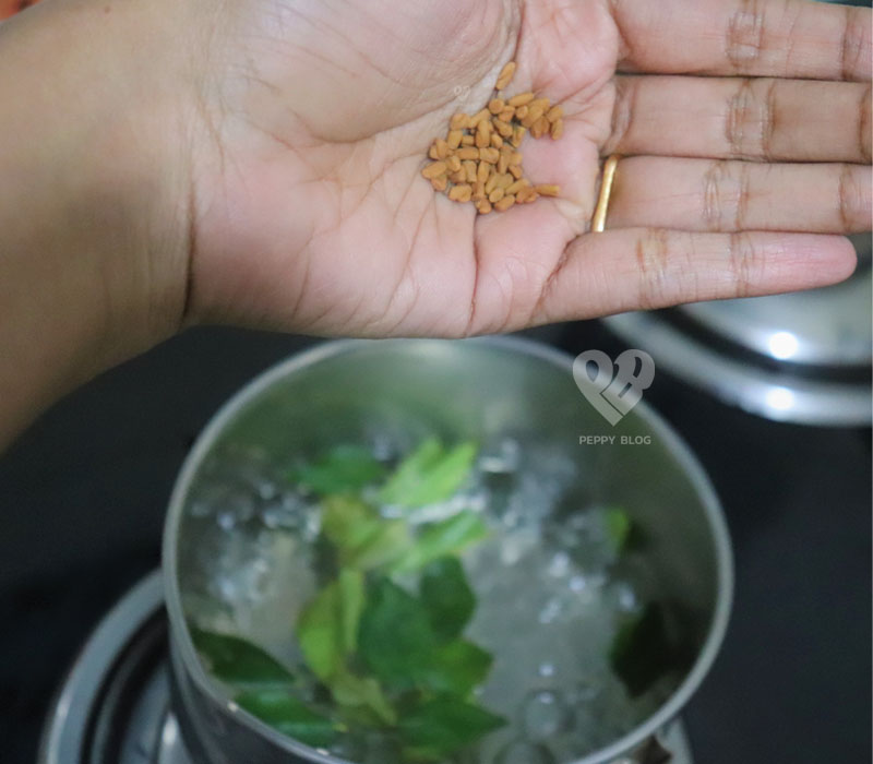 How To Use Curry Leaves For Hair Growth - 3 Recipes - Peppy Blog