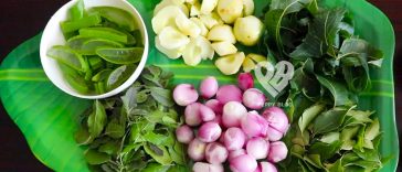 herbal oil ingredients