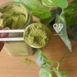 Moringa powder
