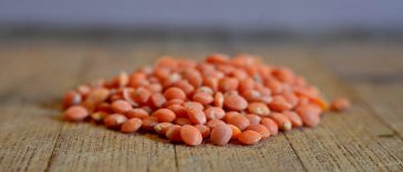 masoor dal