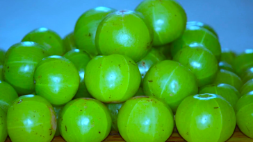amla
